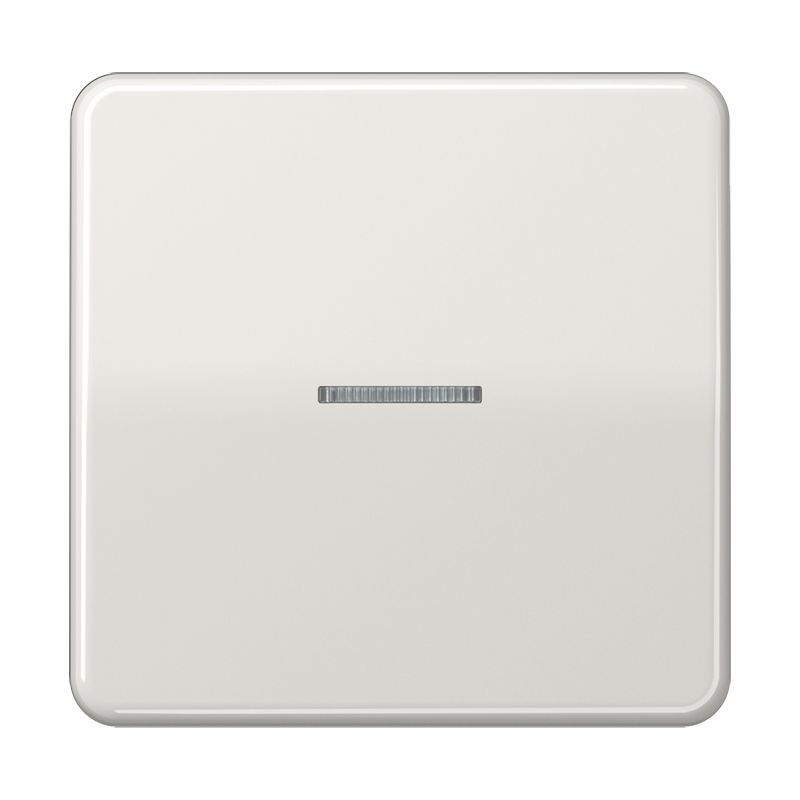 Jung CD101KO5LG Wippe mit Lichtleiter für Taster 1-fach, Duroplast, F10, Serie CD, lichtgrau