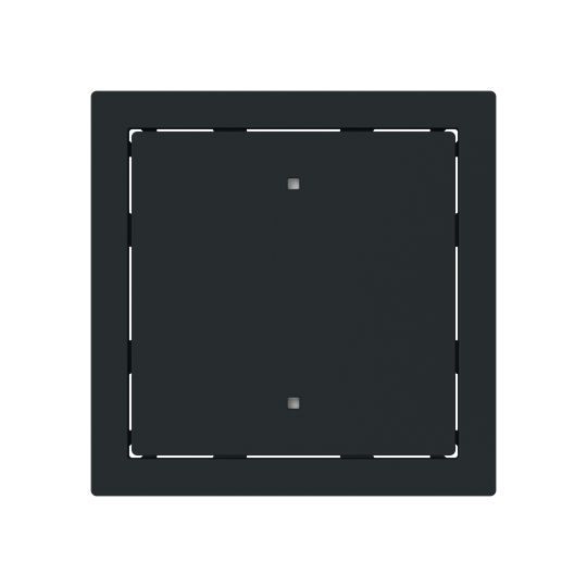 Busch-Jaeger 2570-10-45M Wippe 1-fach für Elektroniktaster mit transparenten Kalotte, schwarz matt