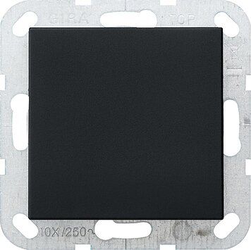 Gira 0268005 Blindabdeckung mit Tragring, System 55, schwarz matt