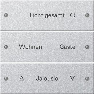Gira 220326 Wippenset 3-fach beschreibbar System 55 F Alu lackiert