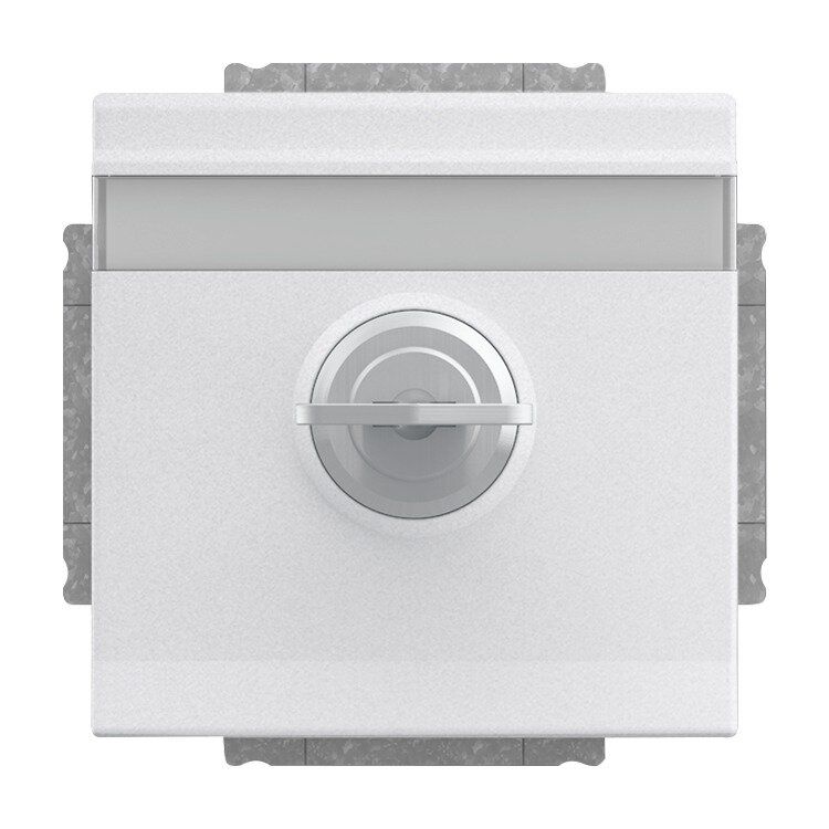 Busch-Jaeger 20 EUKNBSL-83 Schutzkontakt-Steckdose mit Klappdeckel und Schloss, verschieden schließend, mit erhöhtem Berührungsschutz, mit Befestigungskrallen, aluminium silber matt, Plattform 63