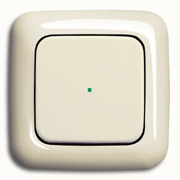 Busch-Jaeger 6230-10-212 Wippe 1-fach ohne Bedruckung