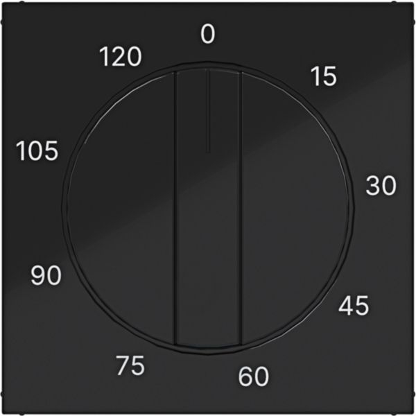 Hager WAF1313BG Zentralstück für mechanische Zeitschaltuhr 0-120 min, A.x/C.x, nachtschwarz glänzend