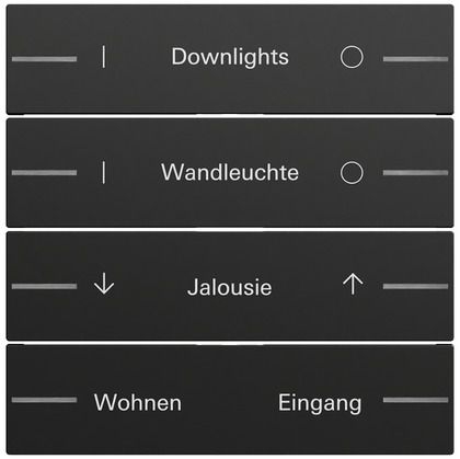 Gira 862474 Ersatzwippe für Wippenset 4-fach individuell für Tastsensor 4.70, schwarz matt lackiert
