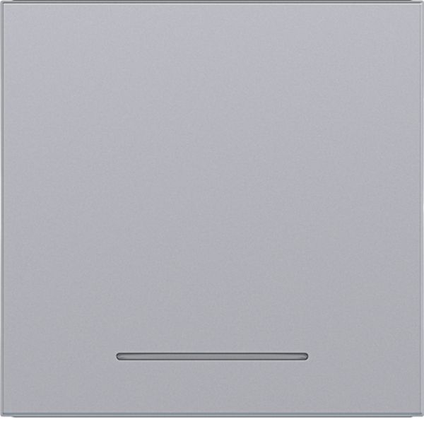 Hager WAW1031TA Wippe 1-fach, klare Linse, A.x/C.x, titan matt