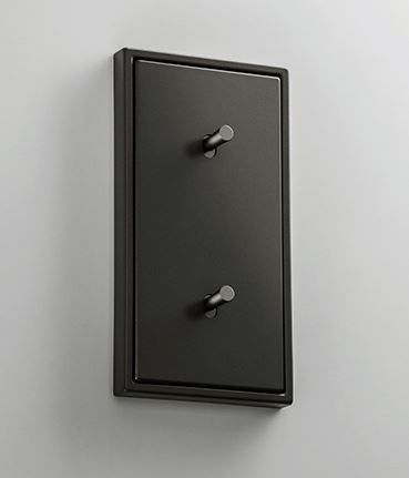 Jung AL12-20DK01 Abdeckung mit Kipphebel "Kegel", 2 x 1 Kipphebel, senkrecht, Serie LS 1912, dark (lackiertes Aluminium)