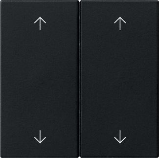 Gira 5387005 Wippe 2-fach Pfeile, System 55, schwarz matt