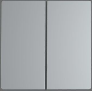 Berker 16236084 Wippe 2-fach, Q.x, aluminium samt