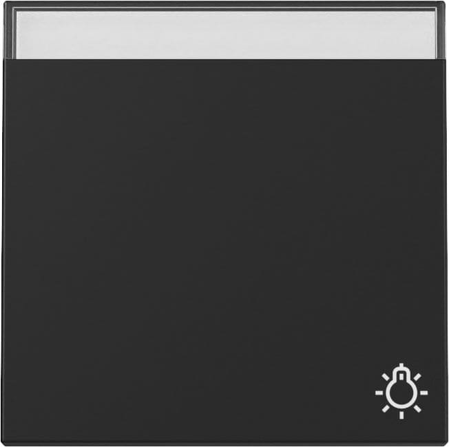 Gira 3673005 Wippe Symbol "Klingel" und Beschriftungsfeld, System 55, schwarz matt