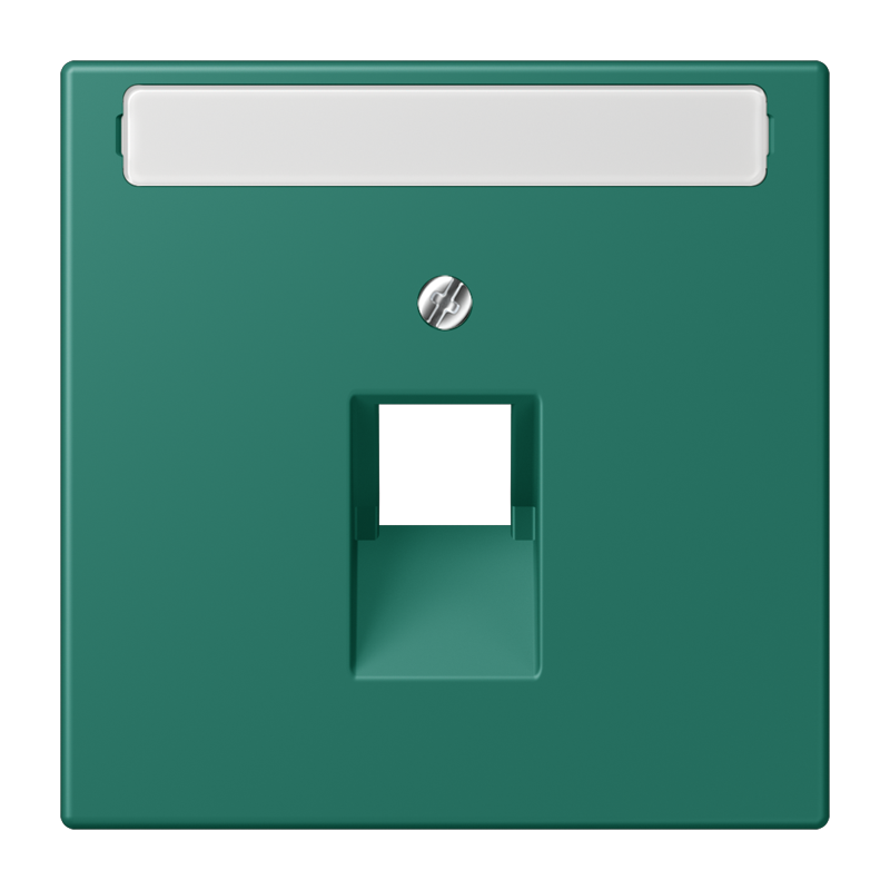 Jung LC9691NAUA216 Abdeckung für IAE/UAE-Anschlussdosen, 1 x 8-polig, mit Schriftfeld, Les Couleurs® 32040, vert anglais