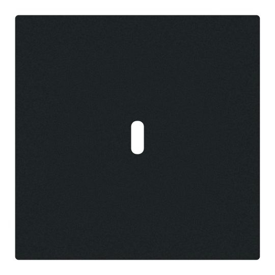 Busch-Jaeger 6479-45M Zentralscheibe für USB Ladestation 1-fach mit USB-C-Anschluss, Busch-art linear, schwarz matt