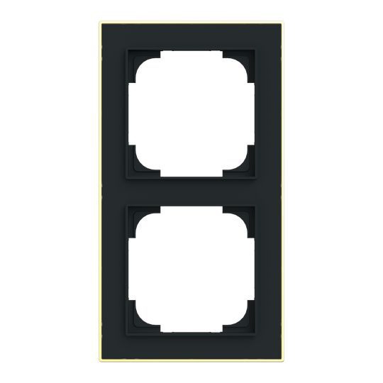 Busch-Jaeger 1722-453M Abdeckrahmen 2-fach mit Dekorring, Busch-art linear, schwarz matt / gold
