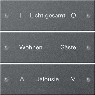 Gira 220328 Wippenset 3-fach beschreibbar System 55 Anthrazit lackiert