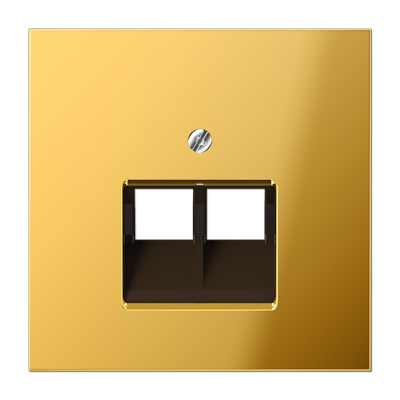 Jung GO2969-2UA Abdeckung für IAE/UAE-Anschlussdosen 2 x 8-polig, Metall goldfarben PVD-beschichtet, Serie LS, goldfarben