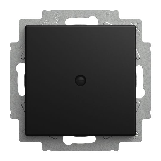 Busch-Jaeger 2538-915 Blindzentralscheibe mit Tragring , Busch-balance SI, schwarz matt