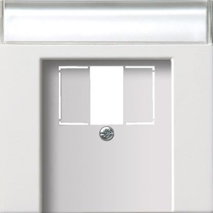 Gira 0876112 Abdeckung mit Beschriftungsfeld TAE USB, Flächenschalter, reinweiß glänzend