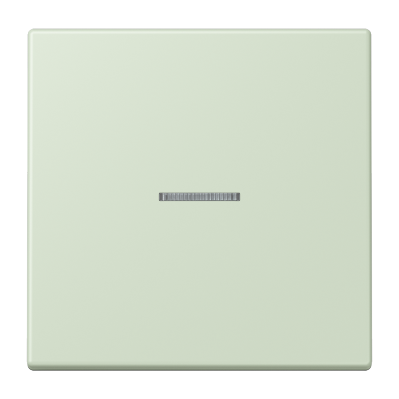 Jung LC990KO5218 Wippe 1-fach, mit Lichtleiter, Les Couleurs® 32042, vert anglais pâle