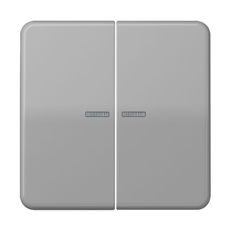 Jung CD102KO5GR Wippe mit Lichtleiter für Taster 2-fach, Duroplast, F10, Serie CD, grau