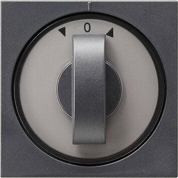 Gira 066628 Abdeckung Knebel Zeitschalter und Jalousie, System 55, anthrazit