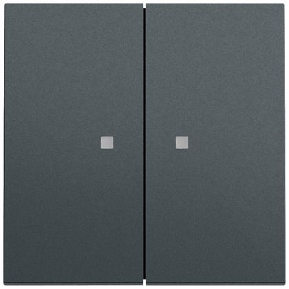 Gira 363173 Wippe 2-fach mit Kontrollfenster, System 70, anthrazit (lackiert)
