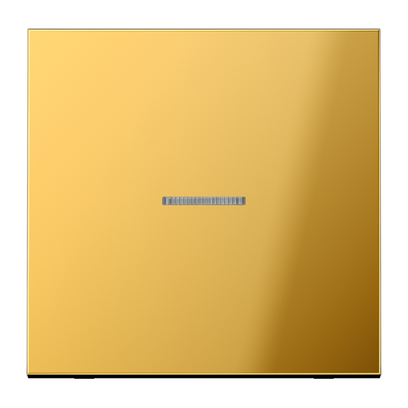 Jung GO2990KO5 Wippe mit Lichtleiter, Metall goldfarben PVD-beschichtet, Serie LS, goldfarben