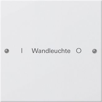 Gira 220127 Wippenset 1-fach beschreibbar System 55 Reinweiß seidenmatt lackiert