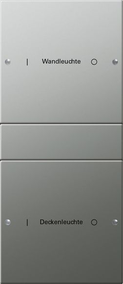Gira 2132602 Wippenset 2-fach (1+1) beschreibbar, System 55, Edelstahl