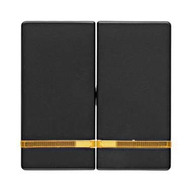 Berker 16276086 Wippe 2-fach mit Linse, Q.x, anthrazit samt