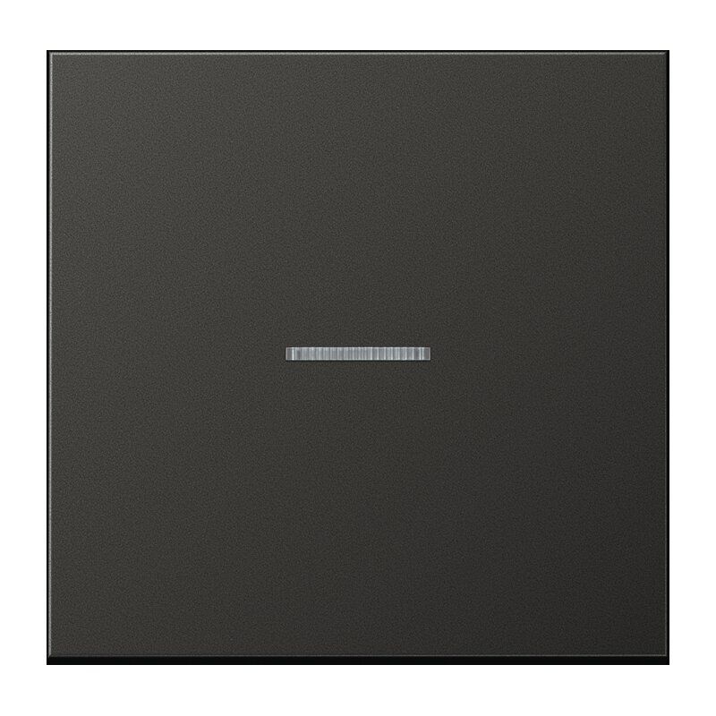 Jung AL2990KO5AN Wippe mit Lichtleiter, Aluminium lackiert, Serie LS, anthrazit