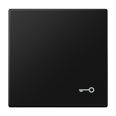 Jung LS990TSWM Wippe, Symbol Tür, Duroplast lackiert, Serie LS, graphitschwarz matt