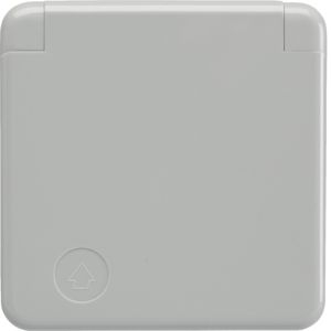 Berker 4211 Schutzkontakt-Steckdose mit Abdeckplatte, Klappdeckel und Schraubklemmen, WG UP IP44, lichtgrau glänzend