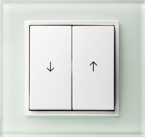 Berker 16258989 Wippe 2-fach mit Aufdruck Symbol Pfeil, S.1/B.3/B.7, polarweiß glänzend