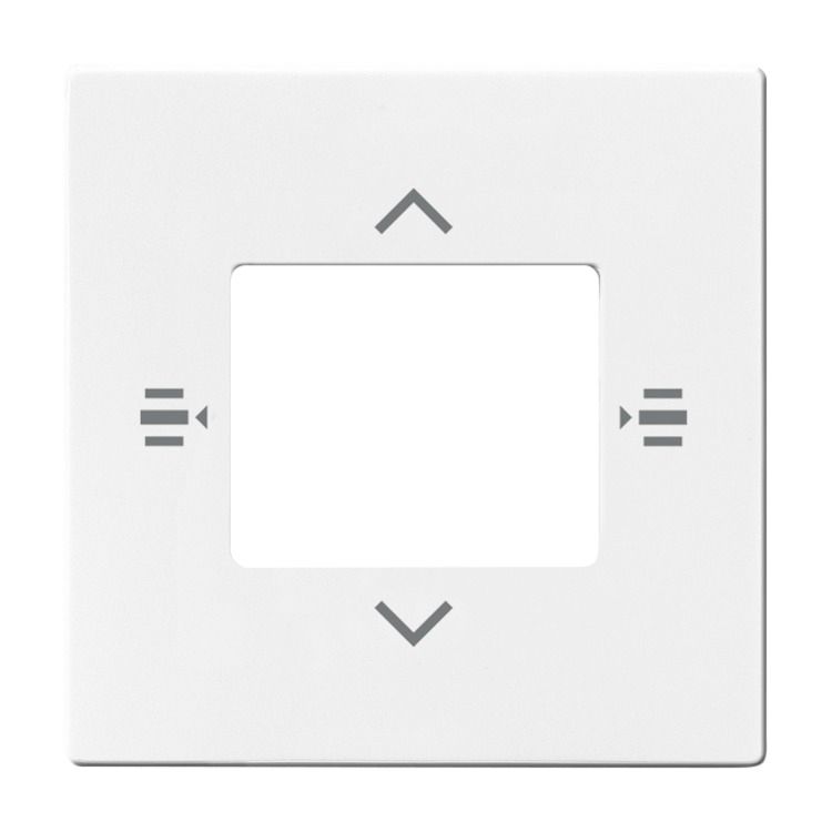 Busch-Jaeger 6108/61-84 Zentralscheibe für Bedienelement 6-fach