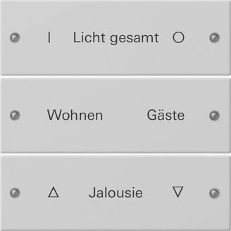 Gira 2203015 Wippenset 3-fach, beschreibbar, System 55, Grau matt