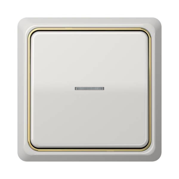 Jung CDP581LG Rahmen 1-fach, senkrechte und waagerechte Montage, Duroplast, CD PLUS, lichtgrau
