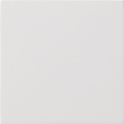 Gira 5372112 Wippe 1-fach unbedruckt, Flächenschalter, reinweiß