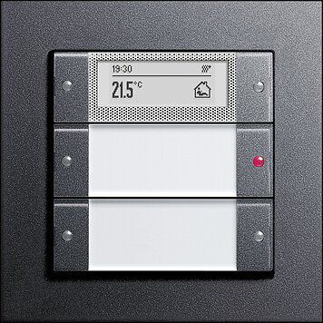 Gira 214228 Wippenset 2-fach Plus mit Beschriftungsfeld, System 55, Klar/anthrazit