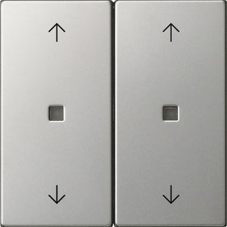 Gira 5386600 Wippe 2-fach Pfeile Kontrollfenster, System 55, Edelstahl