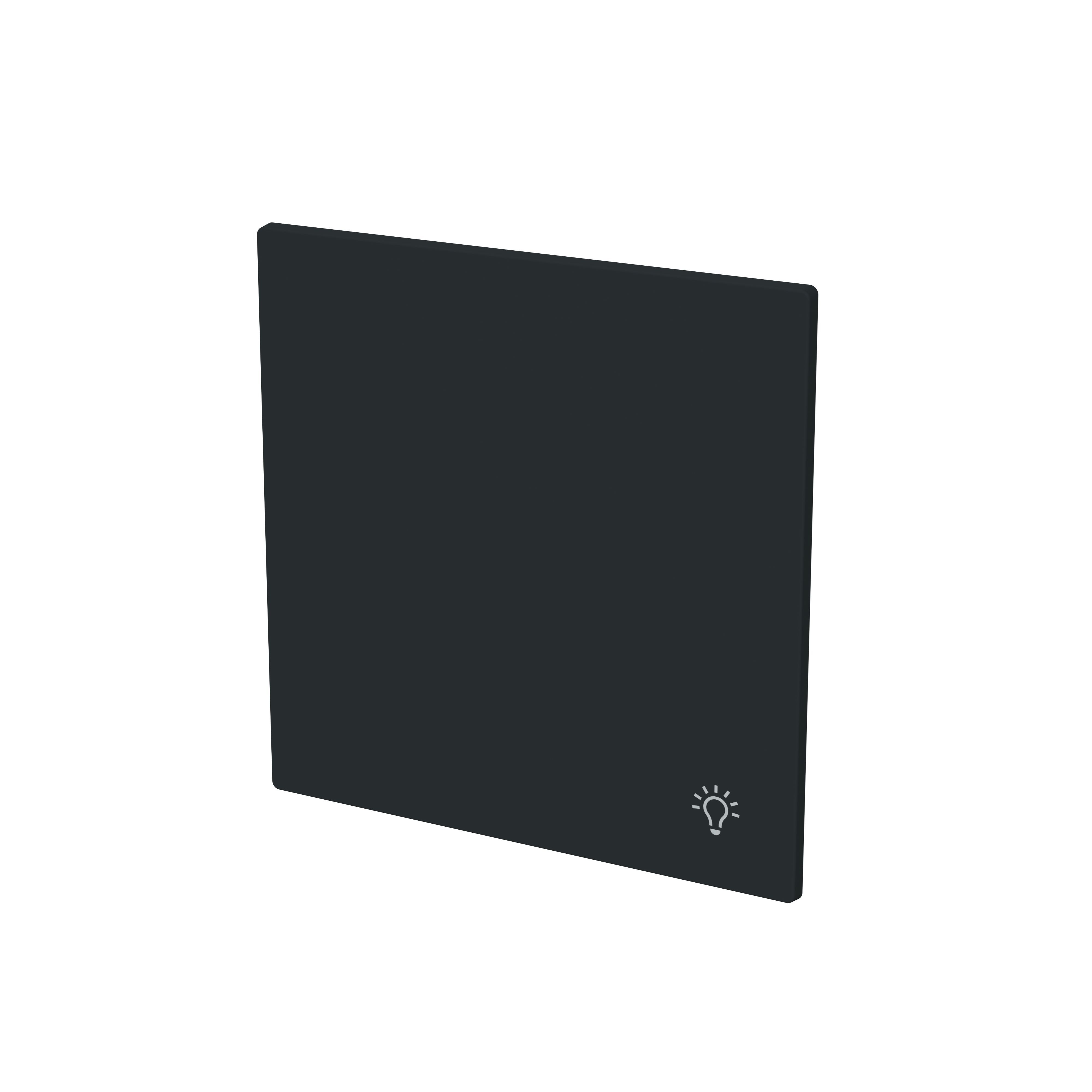 Busch-Jaeger 2520 LI-45M Wippe 1-fach mit Symbol "Licht", schwarz matt, Busch-art linear