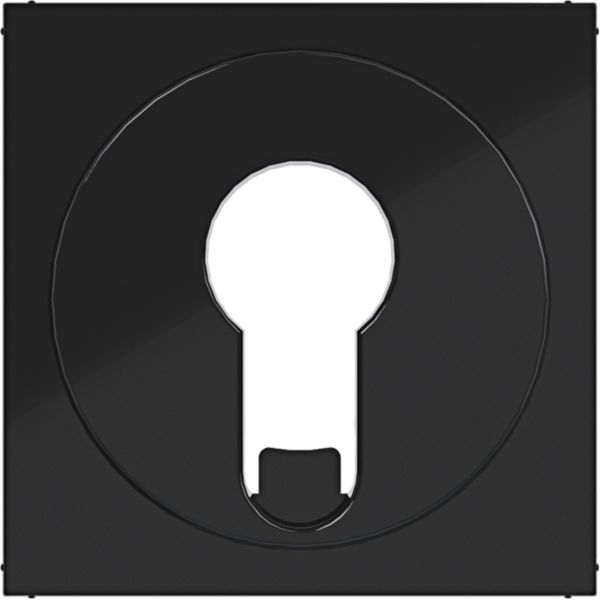 Hager WAF1312BG Zentralstück für Jalousie-Schlüsselschalter/-taster für DIN-Profilzylinder, A.x/C.x, nachtschwarz glänzend