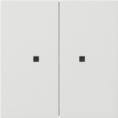 Gira 5369112 Wippe 2-fach unbedruckt Kontrollfenster, Flächenschalter, reinweiß