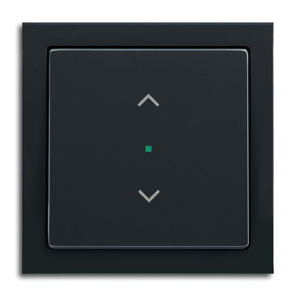 Busch-Jaeger 6232-10-81 Wippe 1-fach mit Symbol Jalousie