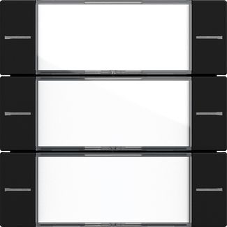 Gira 5773005 Wippenset 3-fach Beschriftungsfeld Tastsensor 4.55, Klar/Schwarz matt