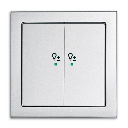 Busch-Jaeger 6234-21-83 Wippe 2-fach links mit Symbol Dimmer