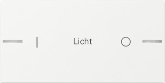 Ersatzwippen Tastsensor 4.55