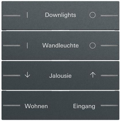 Gira 862473 Ersatzwippe für Wippenset 4-fach individuell für Tastsensor 4.70, anthrazit lackiert