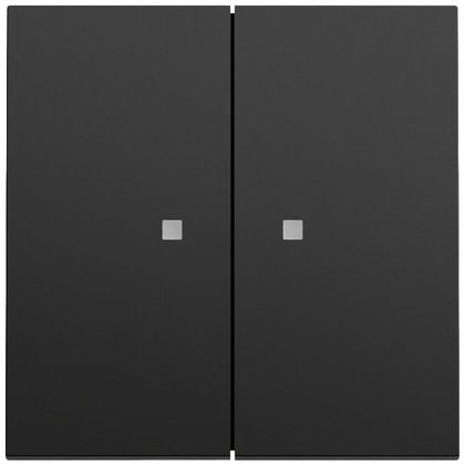 Gira 363174 Wippe 2-fach mit Kontrollfenster, System 70, schwarz matt (lackiert)