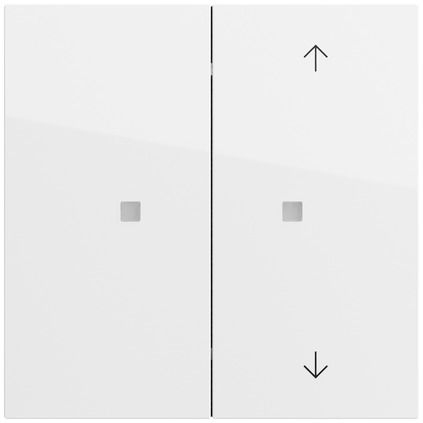 Gira 517570 Taster mit Wippe 2-fach unbedruckt / Pfeilsymbole für Gira One und KNX, System 70, reinweiß glänzend