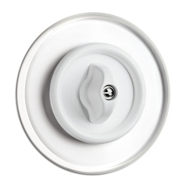 THPG 100609 Einzelabdeckung Weißglas
