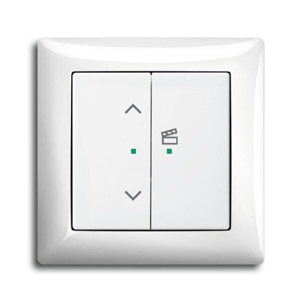 Busch-Jaeger 6233-21-914 Wippe 2-fach links mit Symbol Szene